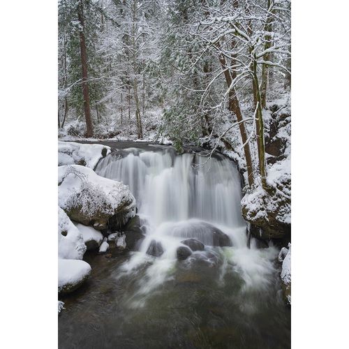 Whatcom Falls after fresh dusting of winter snow Whatcom Falls City Park-Bellingham